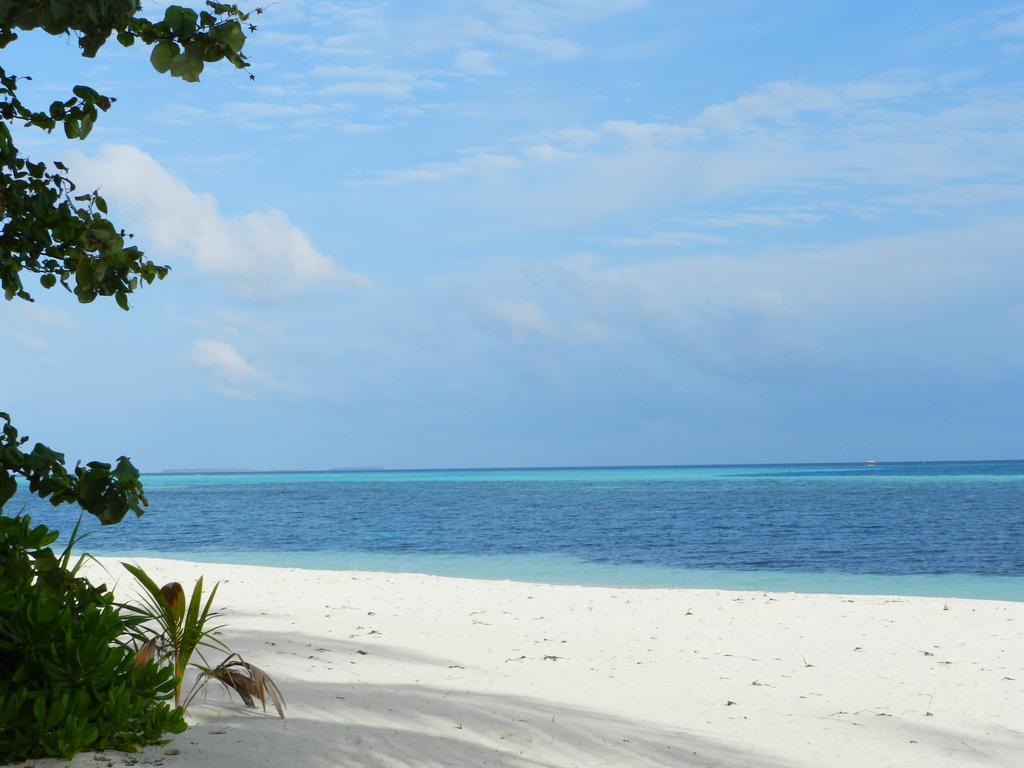 Whale Shark Inn Maamigili Island Exterior photo