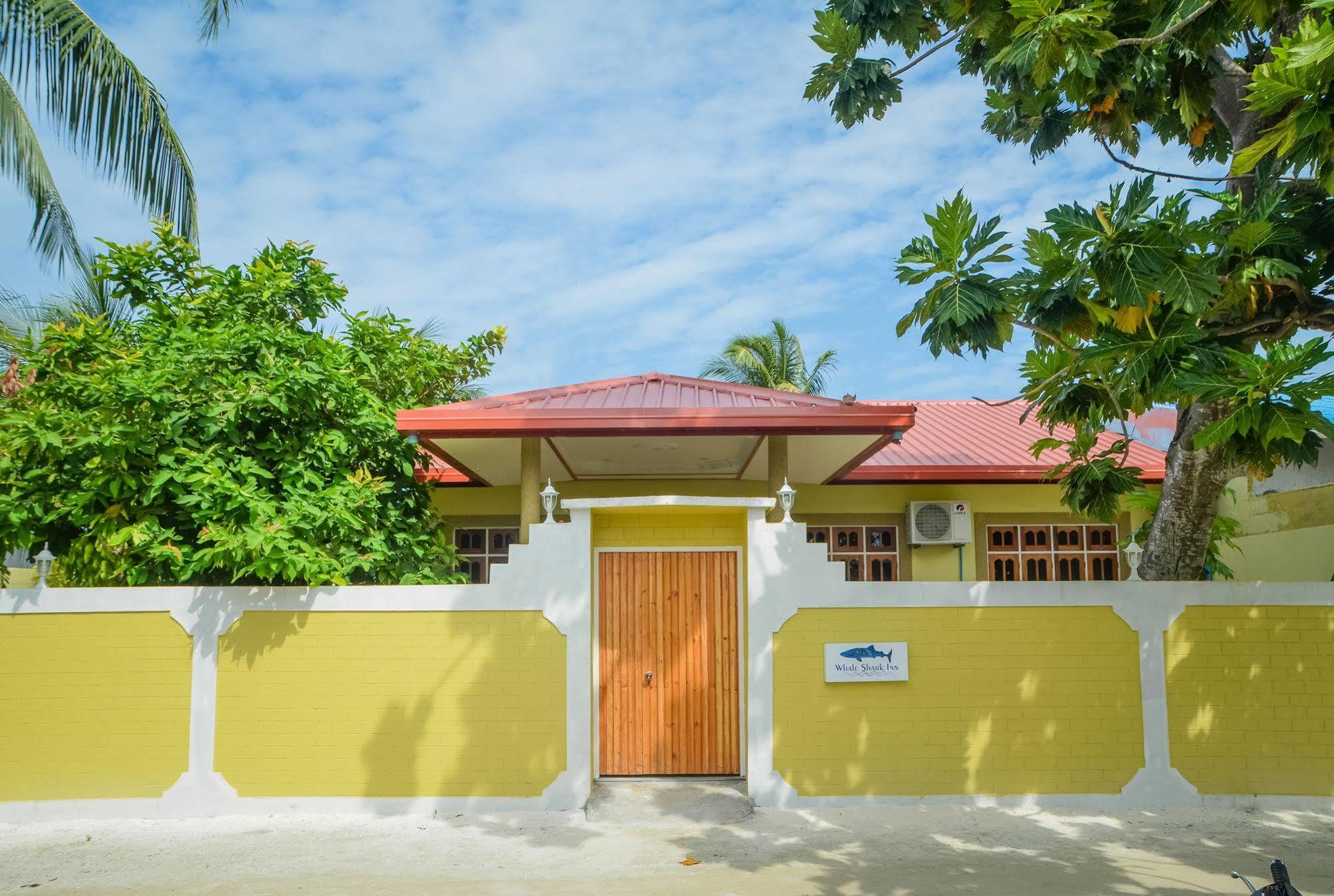Whale Shark Inn Maamigili Island Exterior photo